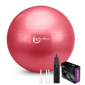 Pelotas de Yoga Zhensheng ODM de 55cm, 65cm y 75cm con Logotipo Personalizado, Pelota de Equilibrio para Fitness - Product Image 5