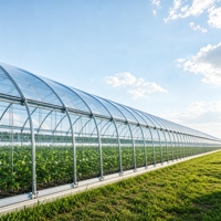 Nouvelle technologie de couverture de serre en film plastique transparent de 200 microns pour l'agriculture