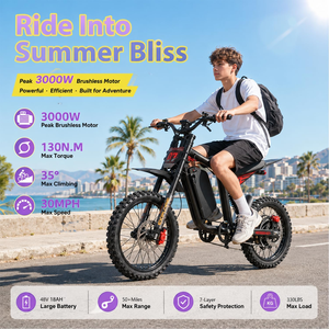 Nueva Bicicleta Eléctrica Todoterreno Eahora FT-07 con Batería de 60V 25AH, Llantas Gruesas de 17'', Suspensión Completa, Color Negro, para Adolescentes - Product Image 2