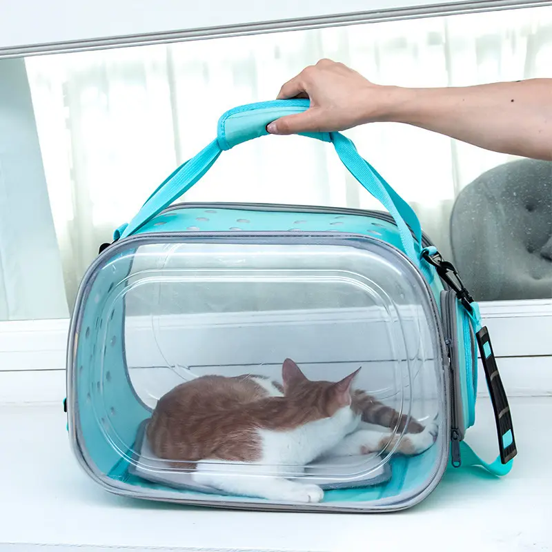 Travel Pet Disney Space Capsule Dog Carrier For Traveling Hi Cat Shaped Bag