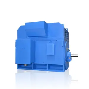 Của ngành công nghiệp đa-chứng nhận cao áp điện AC Motor Y5002-2 1250kw 6KV 50Hz Nhà máy cung cấp