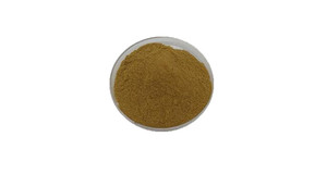 Yüksek kaliteli biberiye özü 10% 20% 30% 50% 60% Carnosic asit - Product Image 4