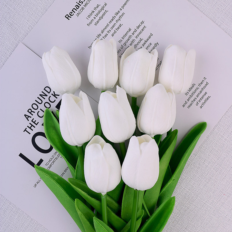 SP0207-WHITE