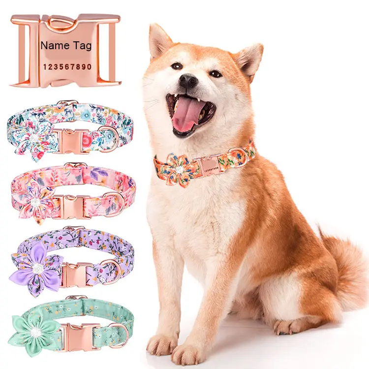 Collier personnalisé fleur fille chien motif floral gravé colliers pour animaux de compagnie personnalisé boucle en or collier de chiens femelles
