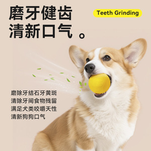 Eetoy Solid Rubber <b>Dog</b> Toy Medium Large Chewable Elastic <b>Ball</b> For Pet Training Interactive Play - Product Image 3