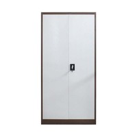 Armoire de rangement pour documents en acier, 2 portes battantes, pour bureau, entrepôt, école