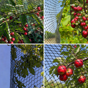 <span class=keywords><strong>Red</strong></span> Agrícola de Polietileno Personalizada de Fábrica, Anti-Pájaros, para Protección de Frutas y Verduras, <span class=keywords><strong>Red</strong></span> a Prueba de Pájaros para Agricultura - Product Image 6