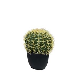 Árbol de Cactus Artificial de Estilo Nórdico Moderno, Bonsái de Plástico, Plantas Artificiales para Decoración del Hogar, Sala de Estar, Jardín - Product Image 2
