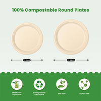 Assiettes jetables en canne à sucre 100 % compostables, robustes, à motif uni, écologiques, fabriquées en Chine