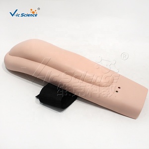Modèle d'entraînement à la ponction veineuse pour les mains et les bras, modèle d'enseignement des sciences médicales - Product Image 3