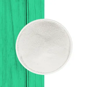 Protoga New Arrival Nhà Máy Giá tự nhiên Microalgae bột protein