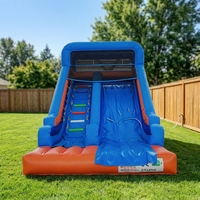 WINSUN Toboggan Gonflable Commercial de Luxe Personnalisé avec Trampoline et Piscine à Sec pour Location et Événements