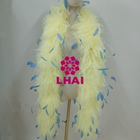 Haute qualité Boas plumes d'autruche écharpe plume pour fête Festival robe tissu Costumes vêtement accessoire spectacle de danse