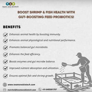 FeedPro Probiotique pour Améliorer les Performances de l'Aquaculture - Product Image 1
