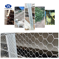 Clôture en treillis métallique galvanisé à chaud pour lapins et poulets, maille hexagonale double torsion 3/4 pouce, 1x25m