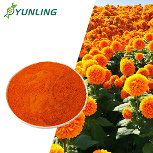 <span class=keywords><strong>Poudre</strong></span> d'extrait de chrysanthème naturel au prix le plus avantageux, 99% de dihydromyricétine en vrac, emballée sous vide, qualité alimentaire - Product Image 1