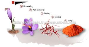 Finest Mogra Saffron Cachemira India Impresionantes beneficios para la salud Raw Dry Herb Spice Stick Pattern Tipo de cártamo-Fuente directa - Product Image 6