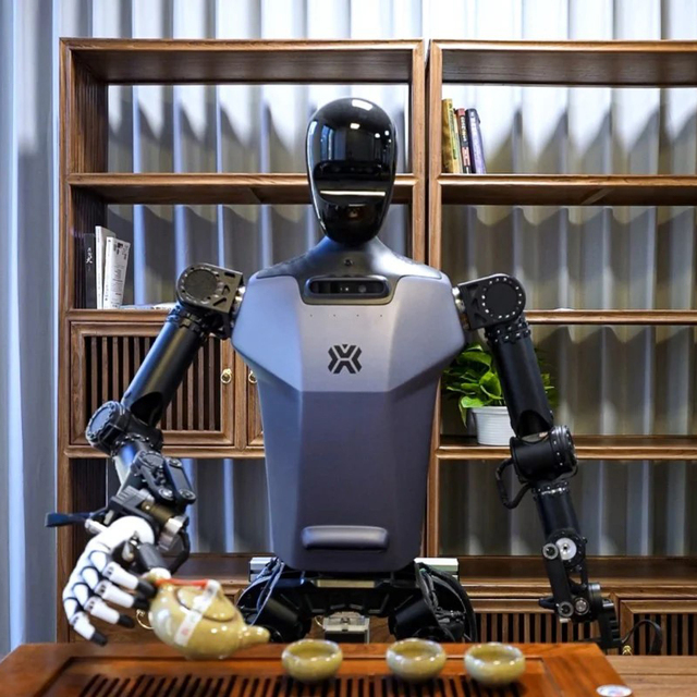 TechStar 172cm Programmable Metal Educational Cleaning & Companion Humanoid Robot with AI Smart Features