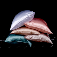 16/19/22/25 Momme Enveloppe 100% Taie d'oreiller en soie de mûrier Lavable Luxe Pure