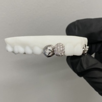 Grillz personnalisés en argent 925 avec dents de pingouin et étoiles, entièrement sertis de moissanite VVS, bijoux HipHop