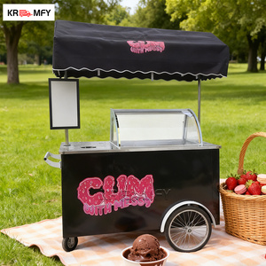 REALLY Gelato Ice Cream Vending Machine Display Freezer Italian Popsicle Electric Cargo Coffee Bike Fiberglass Brushless Motor - Product Image 6