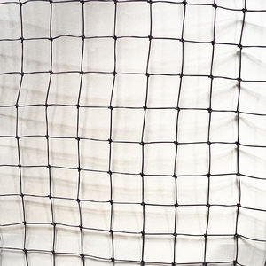 कृषि के लिए एंटी बर्ड नेटटिंग, फल और फसल सुरक्षा के लिए एंटी बर्ड नेट। - Product Image 5