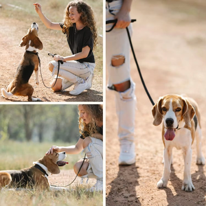 Conjunto de <span class=keywords><strong>Collar</strong></span> y Correa para Perro NiBao, de PVC Impermeable, con Hebilla de Liberación Rápida Ajustable, Color Personalizado - Product Image 6