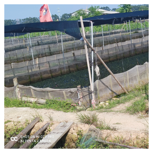 50 רשת hdpe פלסטיק אנטי חרק רשת עבור חממה & חקלאות צבע ירוק-הוכחה חרק עיבוד ל-גודל זמין - Product Image 3