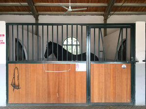 Caja de madera o acero para caballos, diseño personalizado - Product Image 3