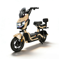 Vélo électrique miniature 48V 60V 350W 500W 2025, directement de l'usine, pneu à vide de 14 pouces, 2 places, vélo électrique urbain, scooter
