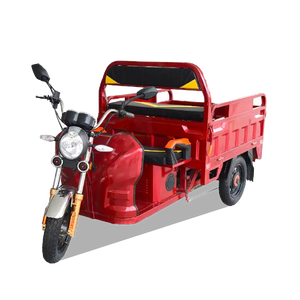 Vendita calda in Kenya EEC/COC Triciclo di carico elettrico a corpo aperto Tuk Tuk con tensione 60v - Product Image 2