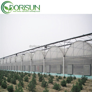Venlo – pilier solaire en verre, Tunnel, couverture en plastique, lit de rocaille d'aquaculture, serre <span class=keywords><strong>avec</strong></span> <span class=keywords><strong>étang</strong></span> à poissons - Product Image 4