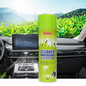 Bitop Auto Car Air-Conditioner Ac Vent Dust Foaming Cleaner Spray Customize Logo Accepted