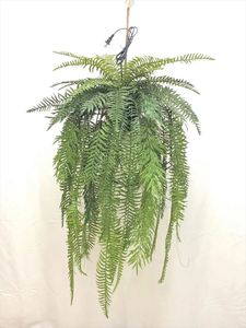 EG-A139 artificielle plante verte fougère herbe haute qualité décorations suspendues dans l'air décoration de <span class=keywords><strong>la</strong></span> maison série forestière - Product Image 3