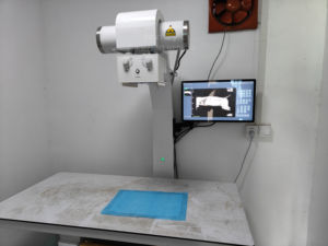 جهاز أشعة سينية رقمي للحيوانات الأليفة من إم تي ميديكال للمستشفيات والعيادات البيطرية للكلاب والقطط - Product Image 5