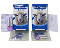 Kit de test de grossesse précoce pour animaux Uminant (PAG) pour bovins, ovins, caprins, résultat rapide en 15 minutes pour sang total/sérum/plasma
