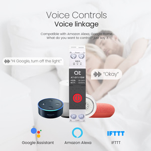 Disjoncteur intelligent Wi-Fi mini DIN RAIL Ewelink avec compteur 1P 1-63A, interrupteur télécommandé réglable, protection contre les fuites - Product Image 6