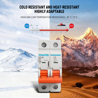 Interruptor Automático Miniatura LONGTAI DZ47-63 2P C 6kA 400V AC, Material PA66, Certificado CE, Montaje en Riel DIN, 50/60Hz, Venta al Por Mayor OEM