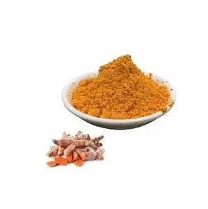 强抗氧剂姜黄姜黄素95% 提取物粉末供应商来自印度