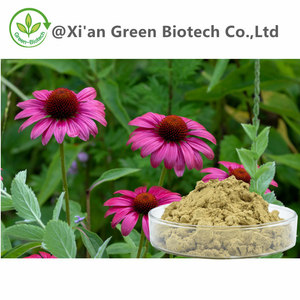 Ekstrak polifenol ekstrak herbal organik bubuk ekstrak <span class=keywords><strong>Echinacea</strong></span> Purpurea alami murni - Product Image 5