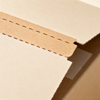 Boîte à languette personnalisée avec logo, en carton ondulé, pour envoi postal, avec bande auto-adhésive pour l'expédition de vêtements et de cadeaux