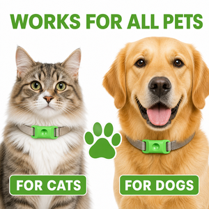 Pendentif anti-puces et <span class=keywords><strong>tiques</strong></span> pour animaux de compagnie, <span class=keywords><strong>répulsif</strong></span> contre les insectes pour <span class=keywords><strong>chien</strong></span> et chat, accessoire de collier pour animaux - Product Image 4