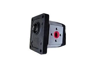 Piezas y componentes de equipos de ingeniería agrícola, bomba de engranajes C901-F310-005 - Product Image 1