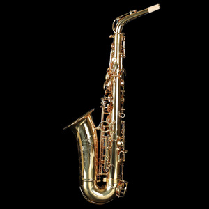 Saxophone alto en mi bémol de qualité professionnelle, haut de gamme, en laiton, avec caractéristiques personnalisables et clé F haute - Product Image 3