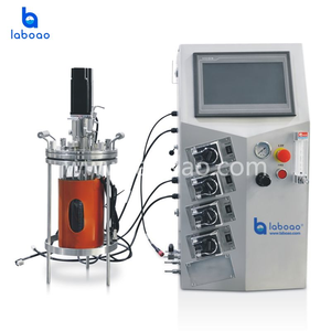 Sistema de Fermentación Biológica de Vidrio Laboao, Biorreactor para Cultivo de Células de Mamíferos e Insectos, 1L-15L - Product Image 5