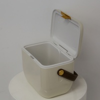 Sangle d'épaule, glacière mini 6L CC, peinture haute brillance, style tendance, boîte à glace pour aliments, canettes, boissons, lait, gâteaux