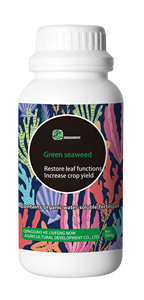Green <span class=keywords><strong>Seaweed</strong></span> Liquid <span class=keywords><strong>Seaweed</strong></span> Fertilizer Melhoria do rendimento das culturas com raiz e folha Função Restauração - Product Image 2