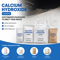 Hydroxyde de calcium de haute pureté, chaux hydratée en poudre pour l'ajustement du pH, le traitement des eaux usées et l'industrie de la construction