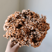 Petites fleurs séchées naturelles mini marguerites blanches, remplisseurs floraux réels pour DIY, décorations de Noël, de la Fête des Mères, de la remise des diplômes et pour la maison, en verre