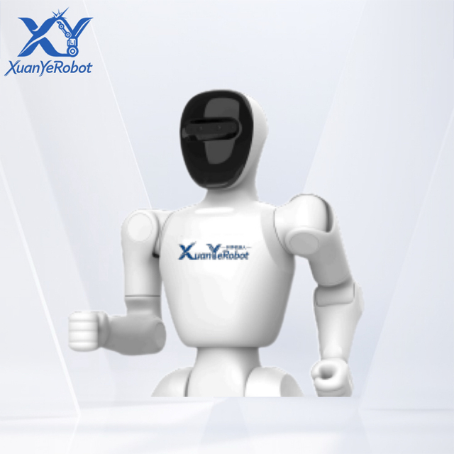 Xuanye Portable Biped Humanoid Robot Kit 21 DoF Structured Light Camera 6TOPS Intelligent Voice Secondary Development